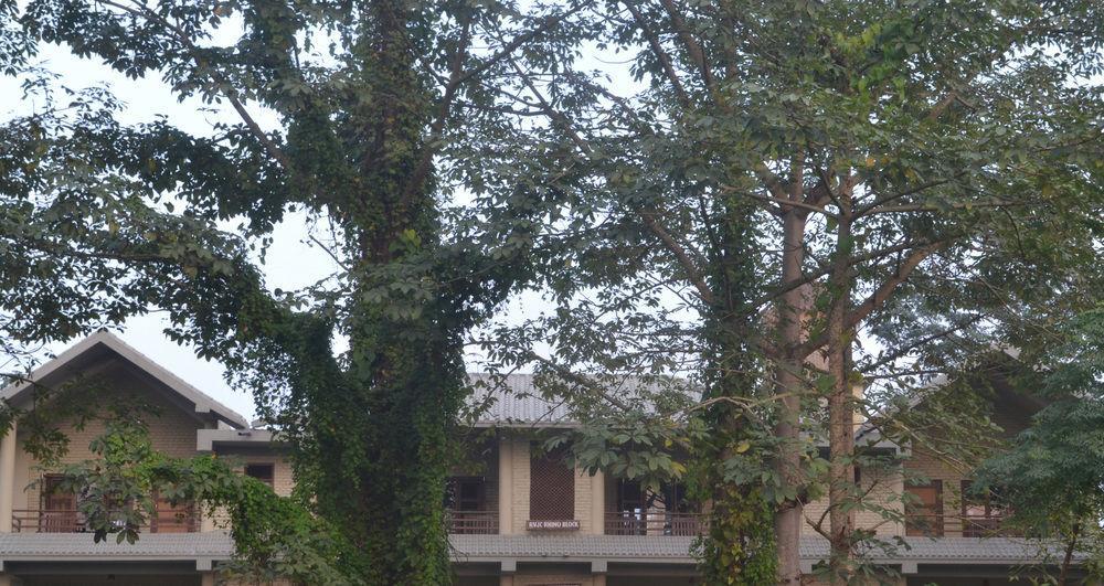 River View Jungle Camp Sauraha Exterior foto