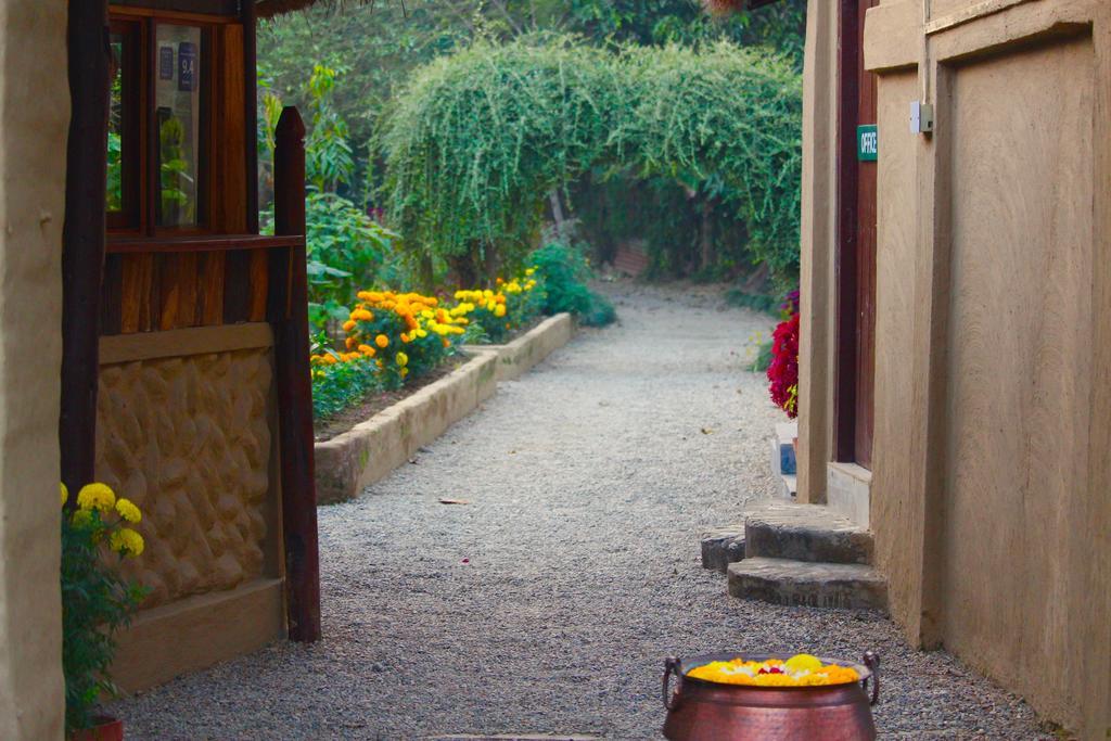 River View Jungle Camp Sauraha Exterior foto