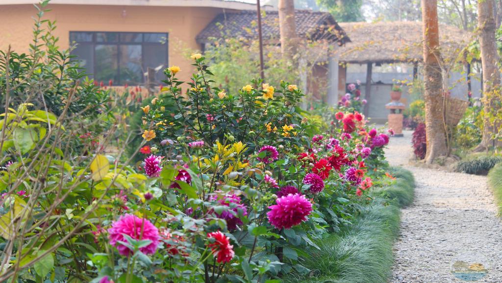 River View Jungle Camp Sauraha Exterior foto