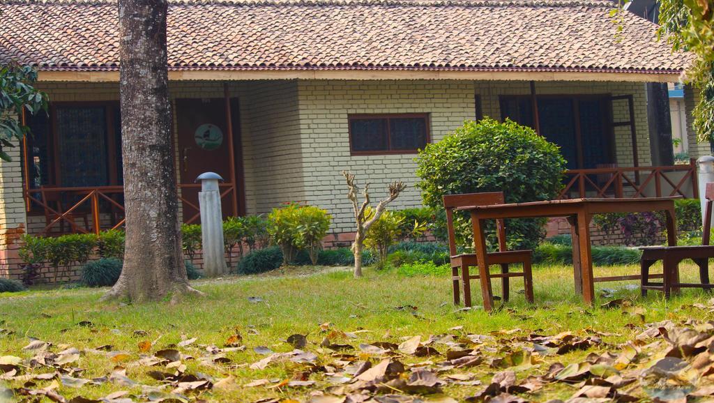 River View Jungle Camp Sauraha Exterior foto