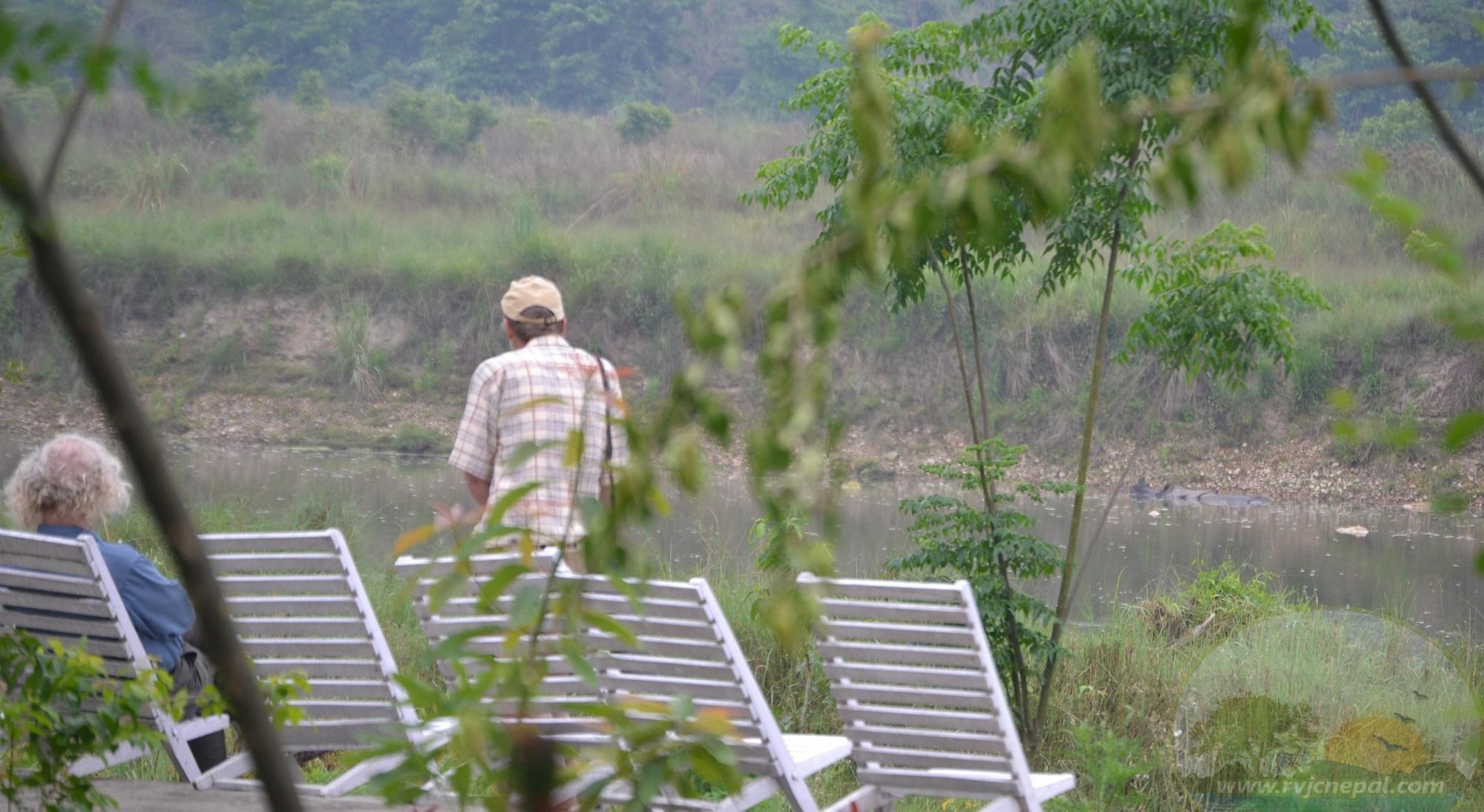 River View Jungle Camp Sauraha Exterior foto