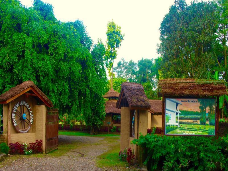 River View Jungle Camp Sauraha Exterior foto