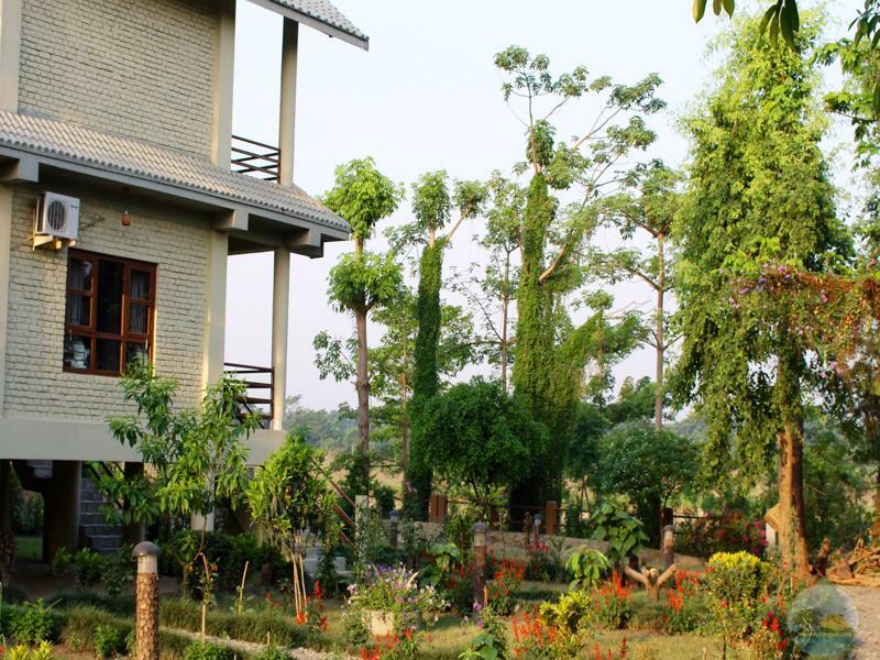 River View Jungle Camp Sauraha Exterior foto